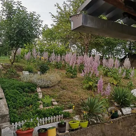 Kod Bake Апартаменты Врдник