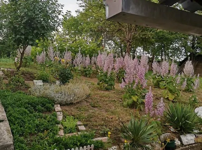 Kod Bake 아파트 브르드니크