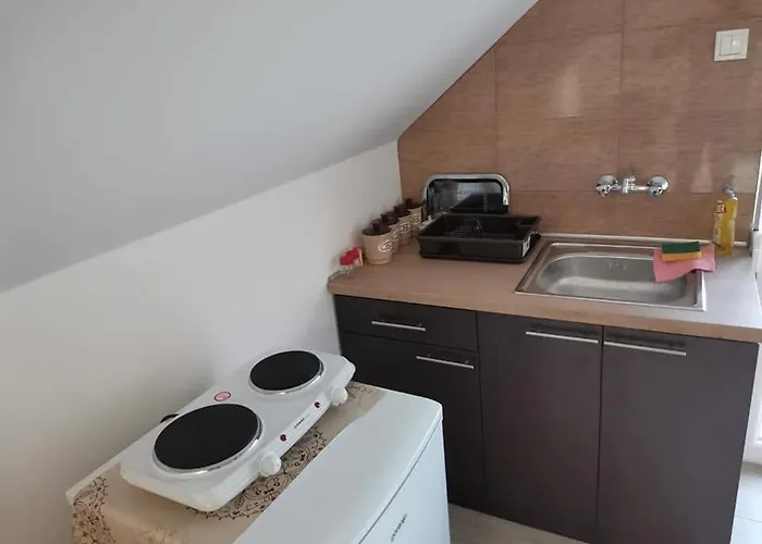 아파트 Kod Bake 브르드니크